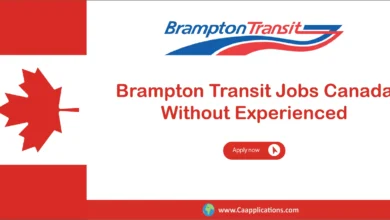 Brampton Transit Jobs