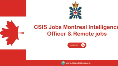 CSIS Jobs